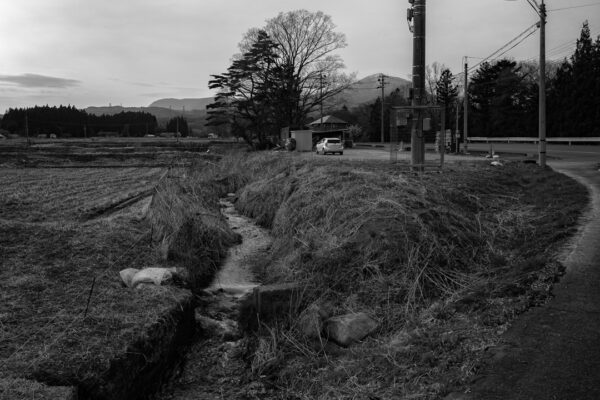 泉が岳への道