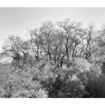 「感動する」について