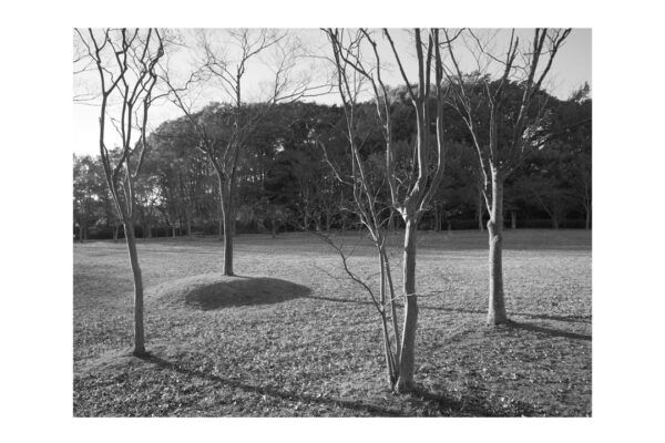 公園アイキャッチ