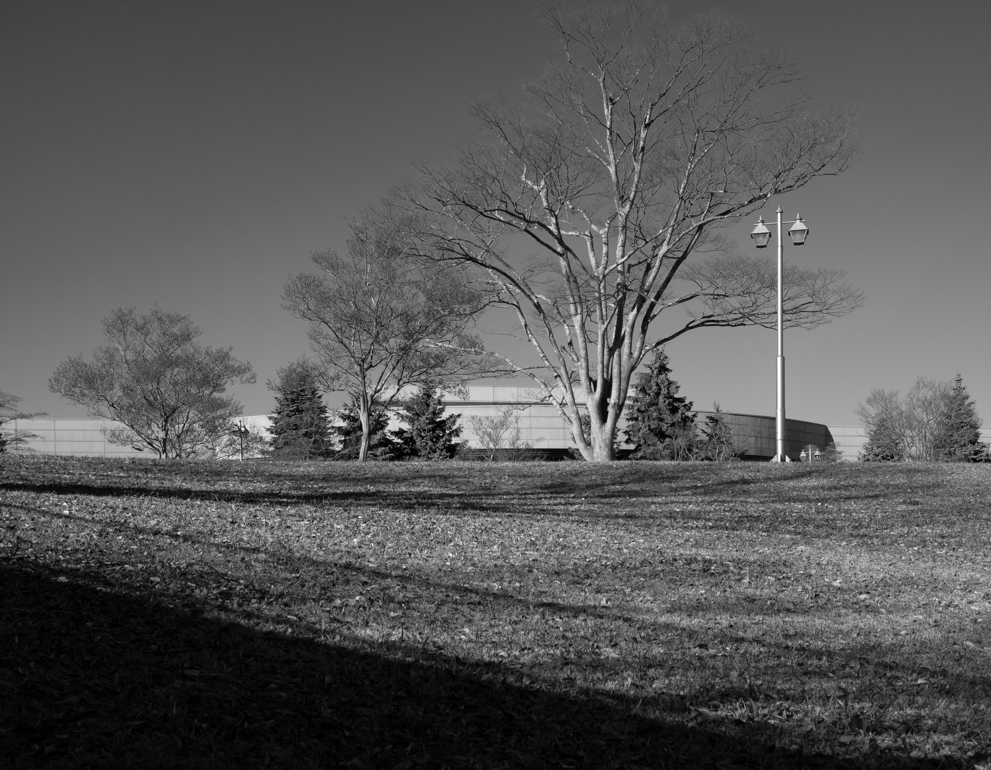 グリーンマート