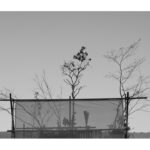 願いをかなえる