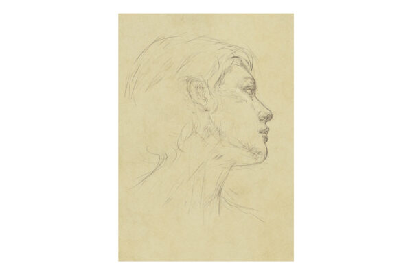 美女アイキャッチ